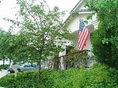 patriotic neighbour.JPG