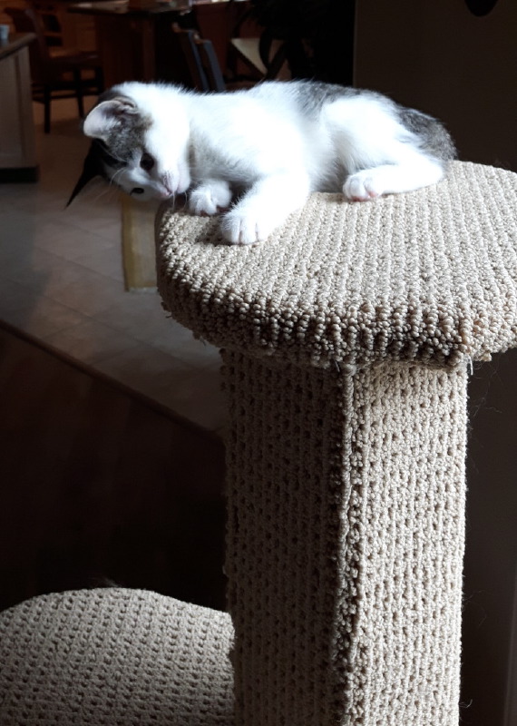 2017-06-08_10.02.20-2