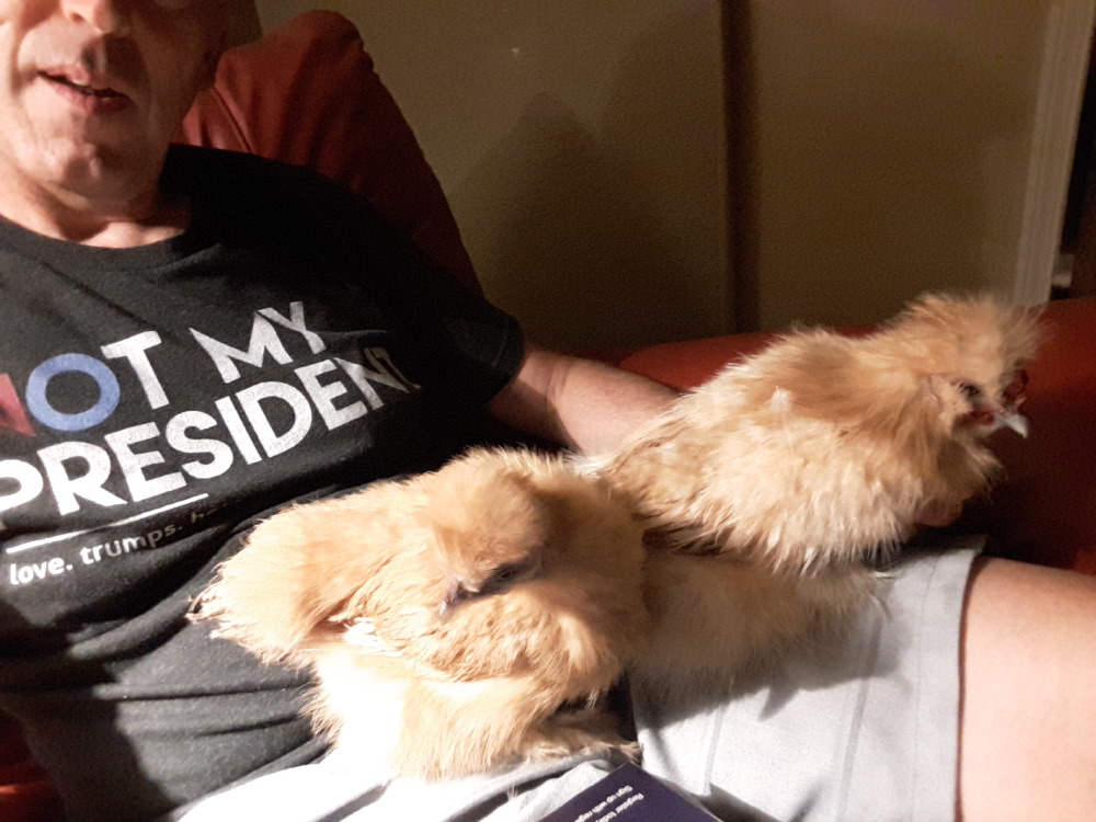 2018-08-11_22.41.06_2