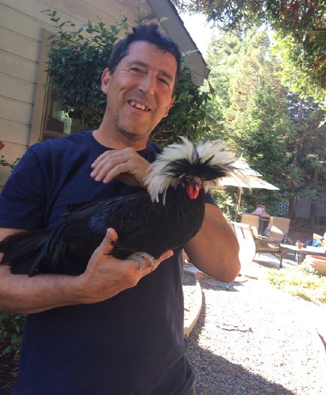 danny_polish_rooster