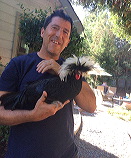 danny_polish_rooster